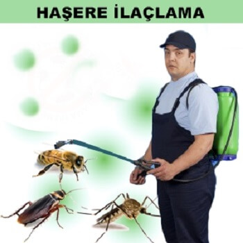Düzköy Böcek İlaçlama